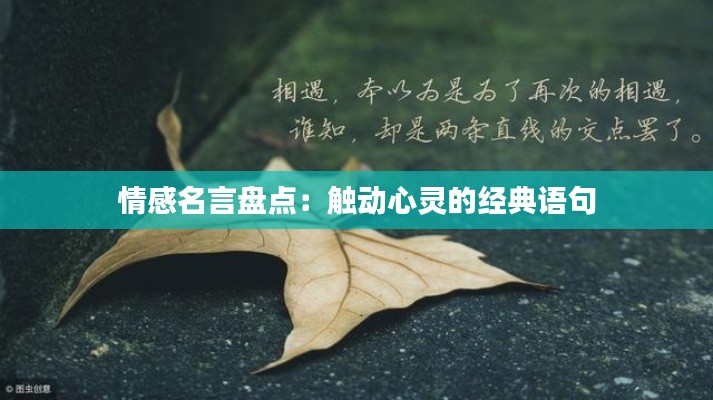 情感名言盘点：触动心灵的经典语句