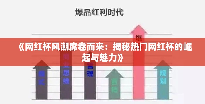 《网红杯风潮席卷而来：揭秘热门网红杯的崛起与魅力》