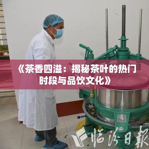 《茶香四溢：揭秘茶叶的热门时段与品饮文化》