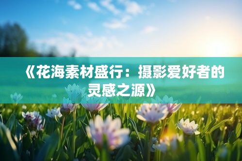 《花海素材盛行：摄影爱好者的灵感之源》