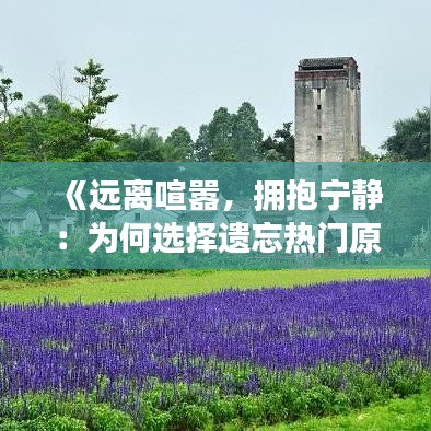 《远离喧嚣，拥抱宁静：为何选择遗忘热门原声》