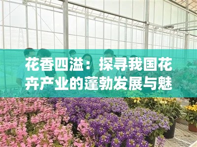 花香四溢：探寻我国花卉产业的蓬勃发展与魅力