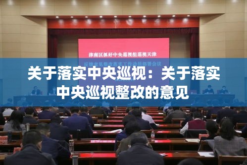 关于落实中央巡视：关于落实中央巡视整改的意见 