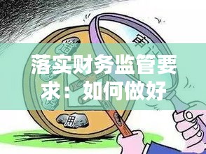 落实财务监管要求：如何做好财务监管工作 