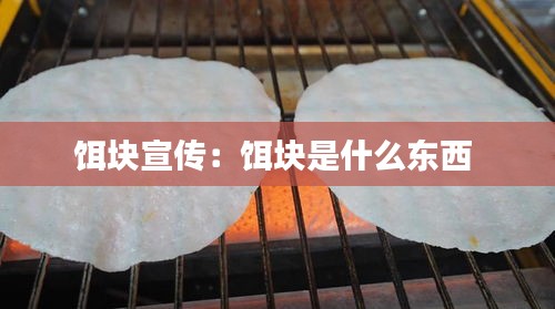 饵块宣传：饵块是什么东西 