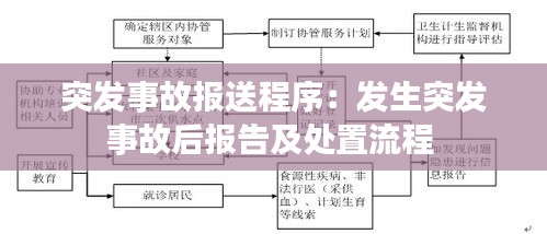 突发事故报送程序：发生突发事故后报告及处置流程 