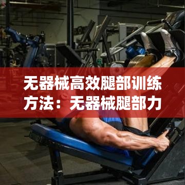 无器械高效腿部训练方法：无器械腿部力量训练方法 