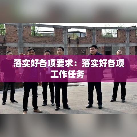 落实好各项要求：落实好各项工作任务 