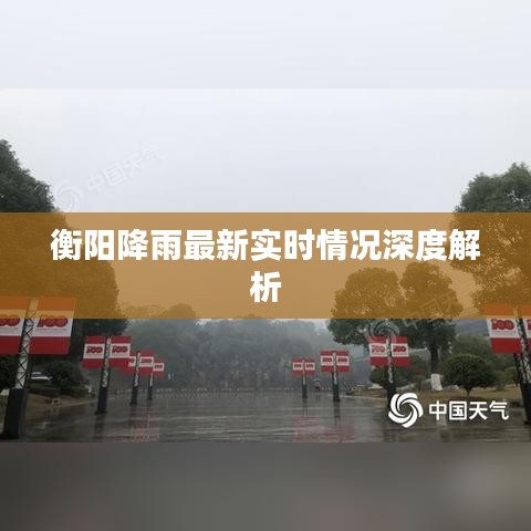 衡阳降雨最新实时情况深度解析