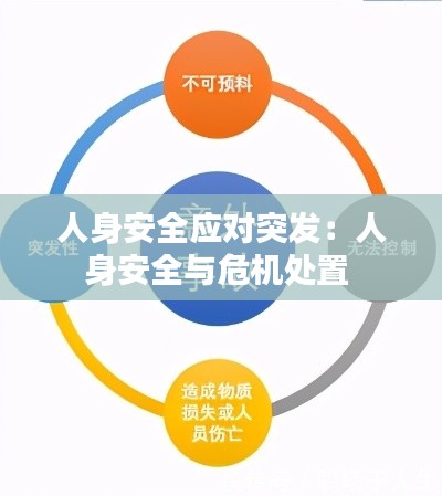 人身安全应对突发：人身安全与危机处置 