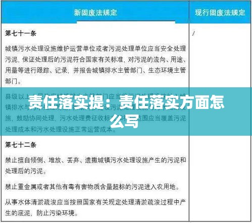 责任落实提：责任落实方面怎么写 