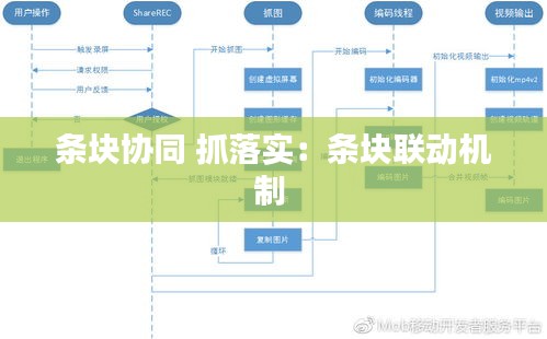 条块协同 抓落实：条块联动机制 