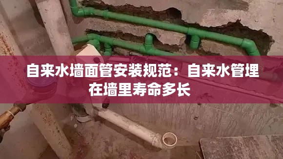 自来水墙面管安装规范：自来水管埋在墙里寿命多长 