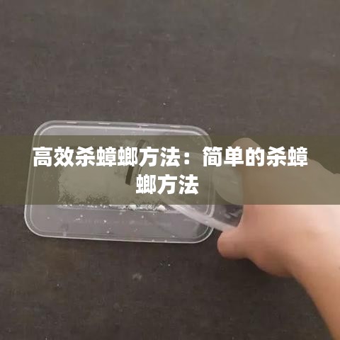 高效杀蟑螂方法：简单的杀蟑螂方法 