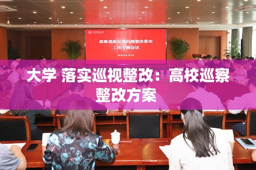 大学 落实巡视整改：高校巡察整改方案 