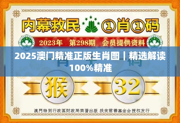 2025澳门精准正版生肖图｜精选解读100%精准