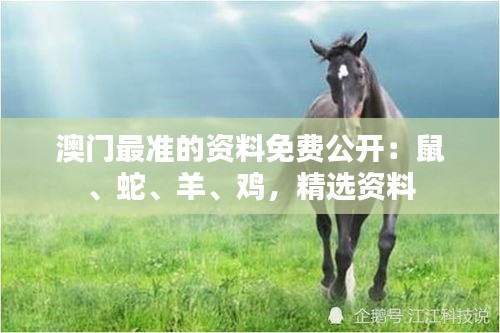 澳门最准的资料免费公开：鼠、蛇、羊、鸡，精选资料