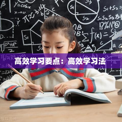 高效学习要点：高效学习法 