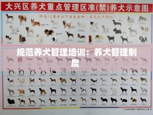 规范养犬管理培训：养犬管理制度 