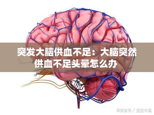 突发大脑供血不足：大脑突然供血不足头晕怎么办 