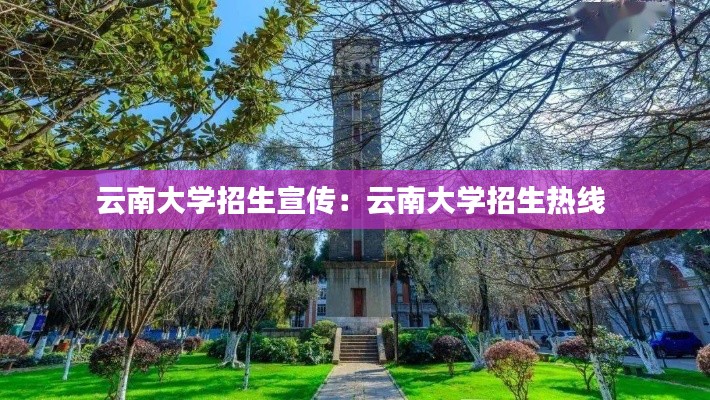 云南大学招生宣传：云南大学招生热线 