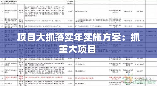 项目大抓落实年实施方案：抓重大项目 