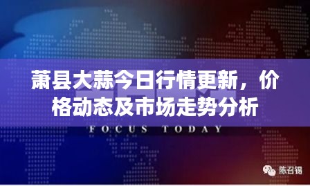 萧县大蒜今日行情更新，价格动态及市场走势分析