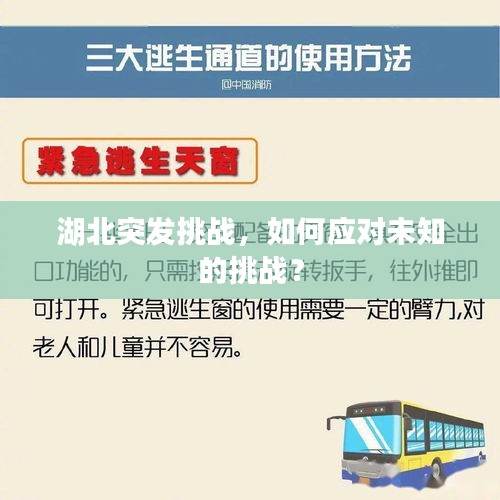 湖北突发挑战，如何应对未知的挑战？