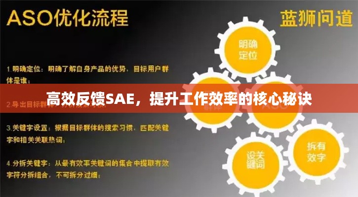 高效反馈SAE，提升工作效率的核心秘诀