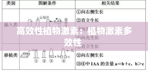 高效性植物激素：植物激素多效性 