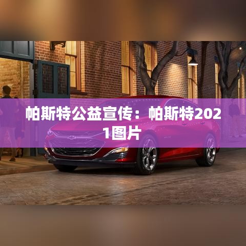 帕斯特公益宣传：帕斯特2021图片 