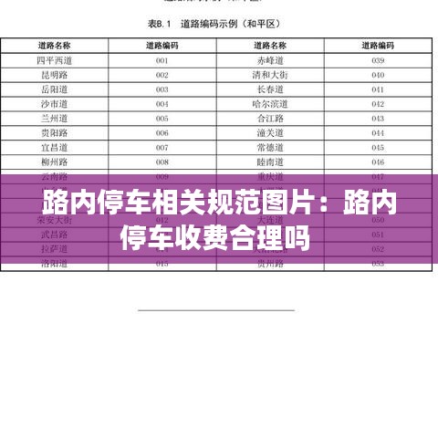 路内停车相关规范图片：路内停车收费合理吗 