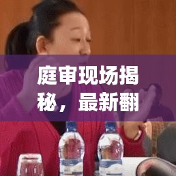 庭审现场揭秘，最新翻案视频全收录，探寻真相的视听震撼