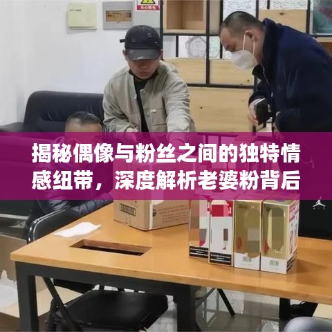 揭秘偶像与粉丝之间的独特情感纽带，深度解析老婆粉背后的故事，百度云资源一网打尽！