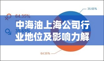 中海油上海公司行业地位及影响力解析