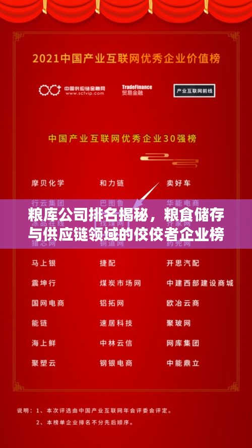 粮库公司排名揭秘，粮食储存与供应链领域的佼佼者企业榜单揭晓！