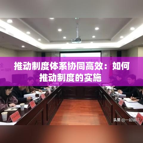 推动制度体系协同高效：如何推动制度的实施 