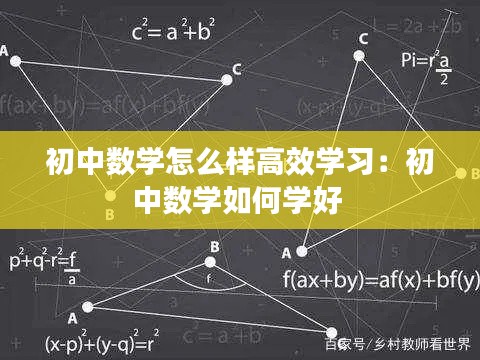 初中数学怎么样高效学习：初中数学如何学好 