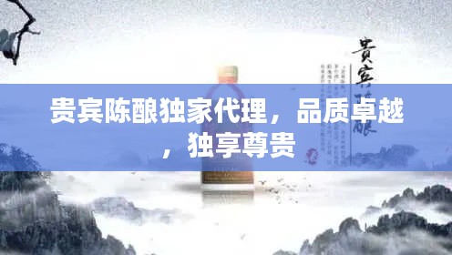 贵宾陈酿独家代理，品质卓越，独享尊贵