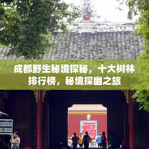 成都野生秘境探秘，十大树林排行榜，秘境探幽之旅