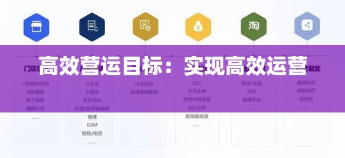 高效营运目标：实现高效运营 