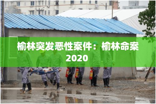 榆林突发恶性案件：榆林命案2020 