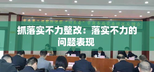 抓落实不力整改：落实不力的问题表现 