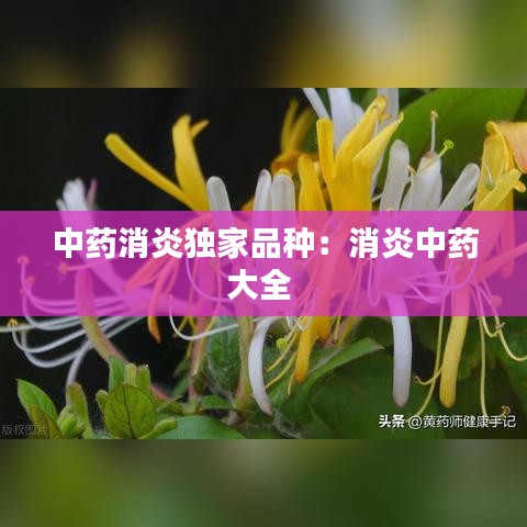 中药消炎独家品种：消炎中药大全 