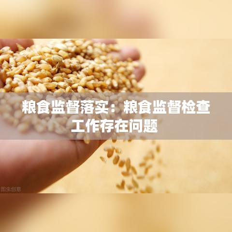 粮食监督落实：粮食监督检查工作存在问题 