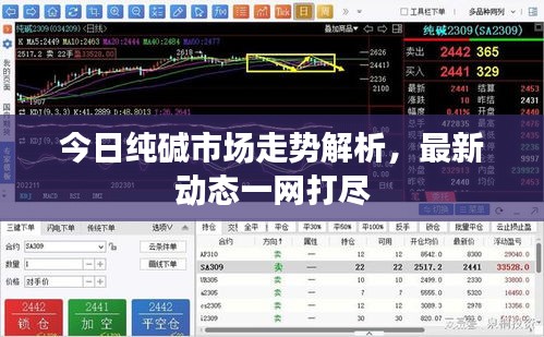 今日纯碱市场走势解析，最新动态一网打尽