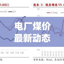 电厂煤价最新动态，今日价格分析与趋势解读