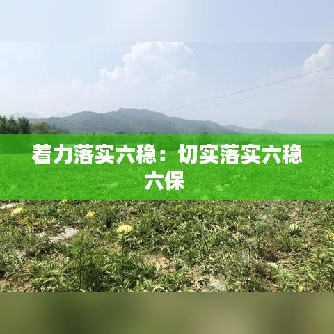 着力落实六稳：切实落实六稳六保 