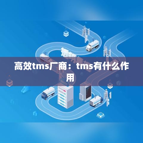 高效tms厂商：tms有什么作用 