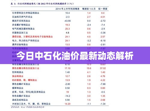 今日中石化油价最新动态解析